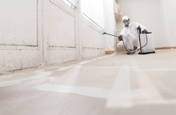24/7 Emergency Mold Removal experts in Greenville, TX